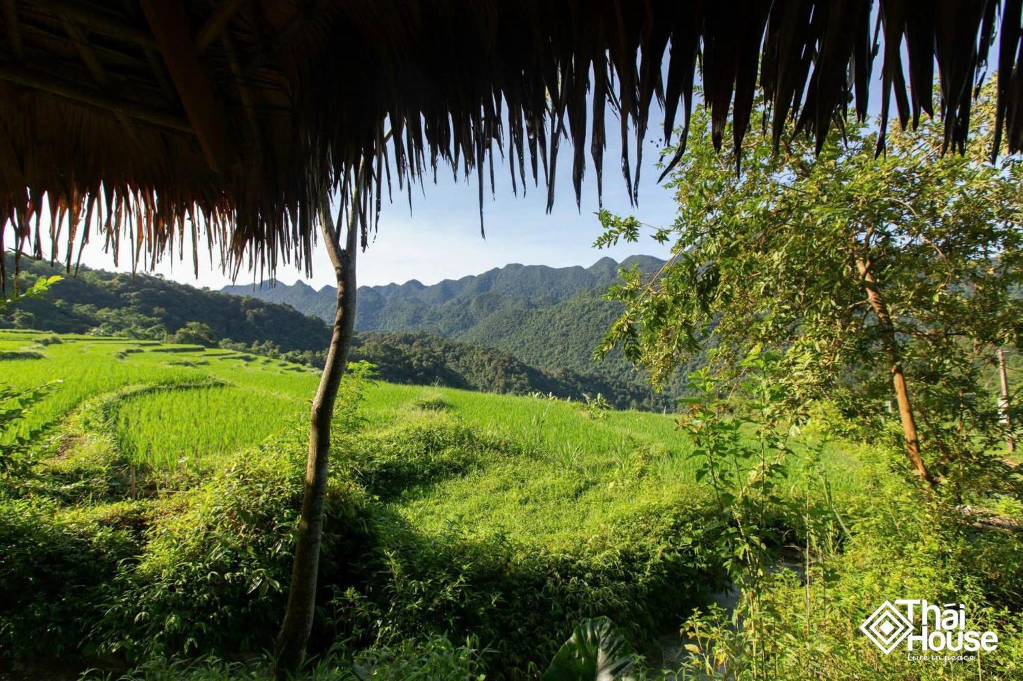 Thai House Pu Luong - Century Old Stilt House With Terrace Views Huong Ba Thuoc ภายนอก รูปภาพ